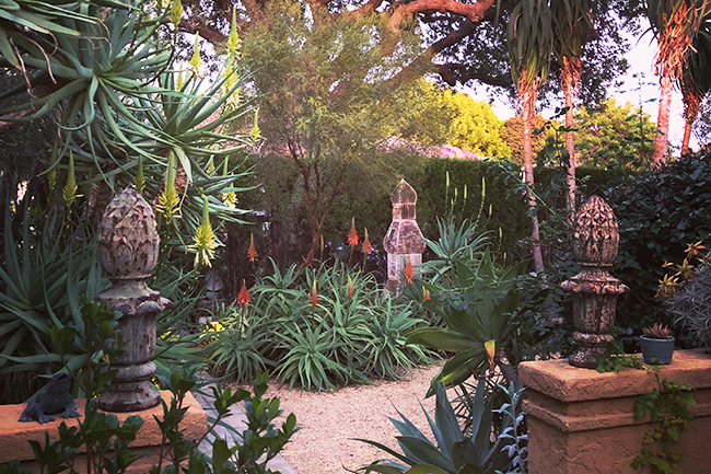 Digging Deeper: In the Pink—Autumn in a California Garden - SOLD OUT